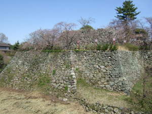 お城の桜０９０３３０