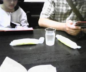 家族バラバラ 家族バラバラ